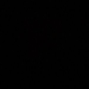 Meet your Posher, Adamariz